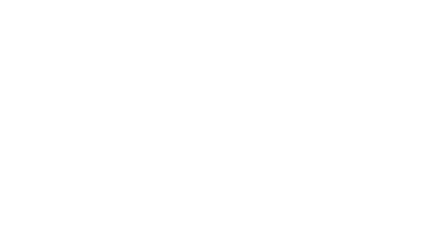 skin inc